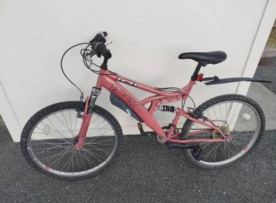 19" Bicycle