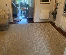 Living Room Rug