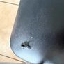 8 foldable chairs Image 4