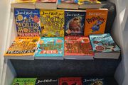 21 X David Walliams Books
