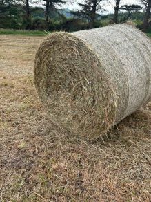 Hay bales