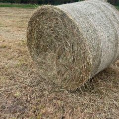 Hay bales