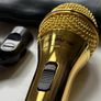 Peavey PVi 2 Gold Dynamic Vocal Microphone with Case & Clip Image 5