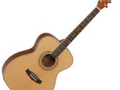 Tanglewood Discovery Series DBT DLXF (Grade B)