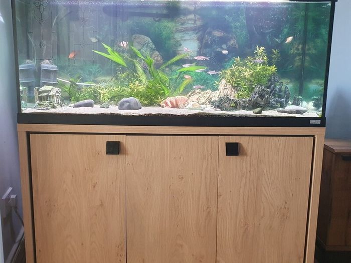 240l aquarium for sale