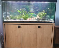 240l aquarium for sale