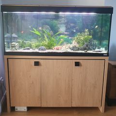 240l aquarium for sale