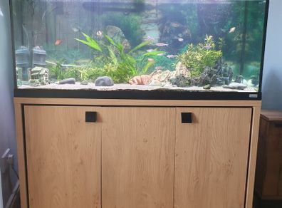240l aquarium for sale