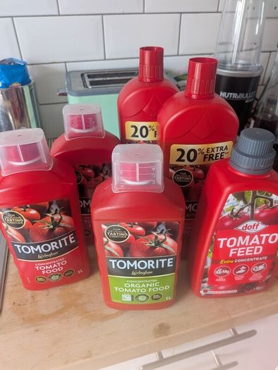 Tomato Food