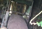 Tractor for Sale