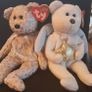 Collection of White & Grey Beanie Bears Image 5