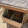 Chicken Coop Image 4