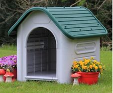 Dog Kennel (NEW) for Sale