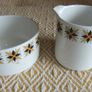 Arklow Pottery Star Dust Pattern 21 Piece Coffee Set Image 9