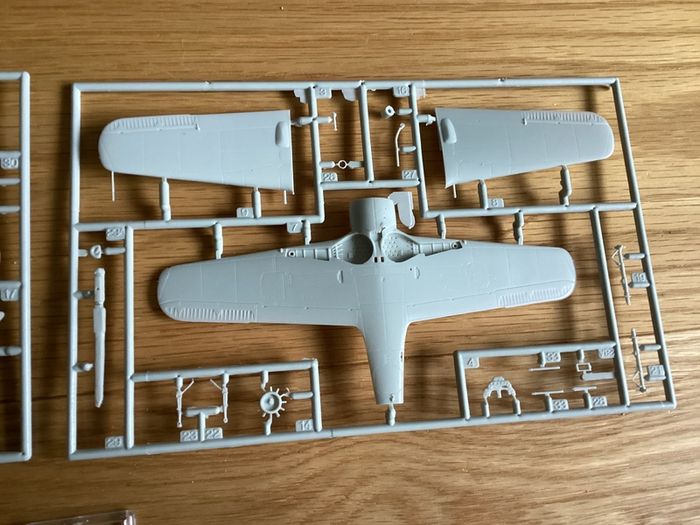 Revell