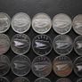 30 Irish 5 pence coins (1993-2000). Nice Condition! Image 8
