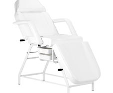 beauty Chair