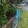 Reid Kid's Bike Image 2