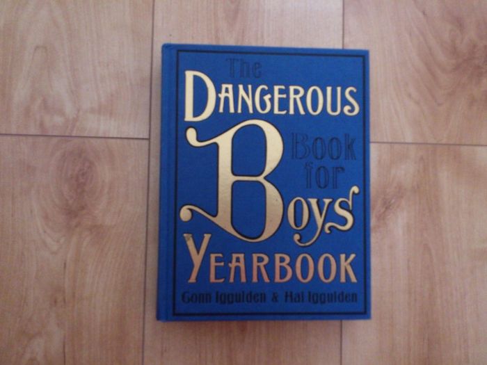 The Dangerous Book for Boys- a fact book for every day.