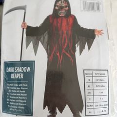 Halloween Costumes