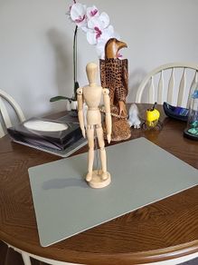 Artists dummy