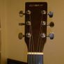 ELEVATION Acoustic Guitar Image 4