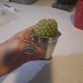 cute cactus candle Image 2