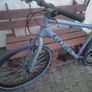 bike Image 6