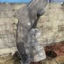 Pair Irish limestone dolphins 7 feet tall Image 2