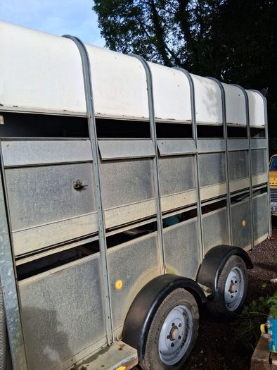 Cattle Horse Trailer Ifor Williams