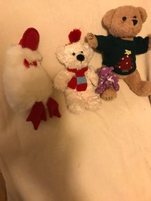 Teddy Bears and Duck