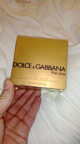 Dolce and gabbana the one