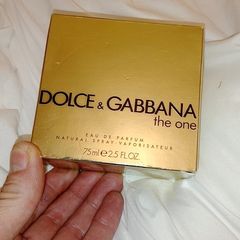 Dolce and gabbana the one