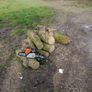 large amount logs &firewood Image 4
