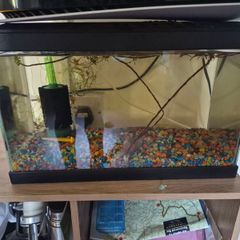 fish tank