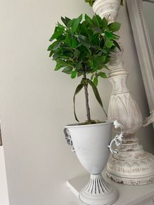 ShabbyChic Decor Greenery in an Urn and velvet ribbon