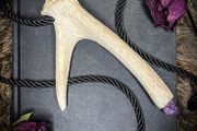 Empowering Naturally Shed Deer Antler and Amethyst Quartz  Rope Necklace Cosplay Wasteland Dystopian
