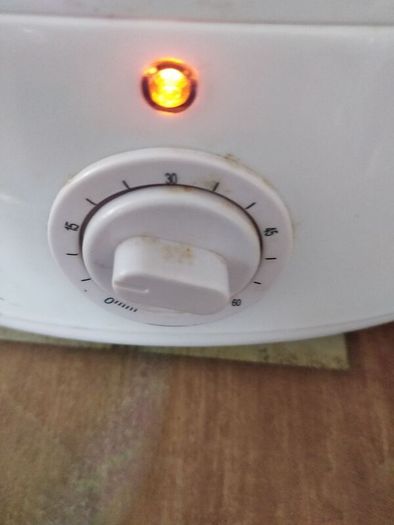Electric steamer