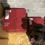 Elplast 75400 Full M00n 42w Light Image 2