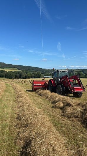2025 And 2026 Haylage