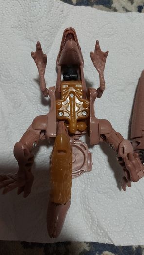 Transformer / toy