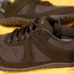 Barefoot size 43 brand new