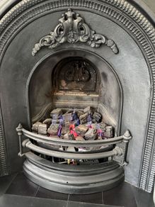 Remote Control Gas Fire Insert