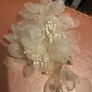 Champagne colour hair clip Image 3