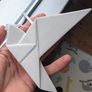 Peace dove Image 4