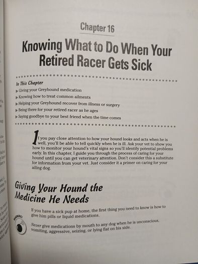 Retired Racing Greyhounds for Dummies