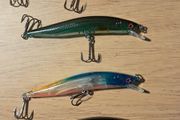 5 Minnows 7.25gm