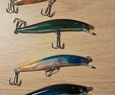 5 Minnows 7.25gm