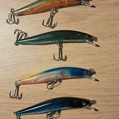 5 Minnows 7.25gm