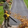 Leaf Blowers Image 8